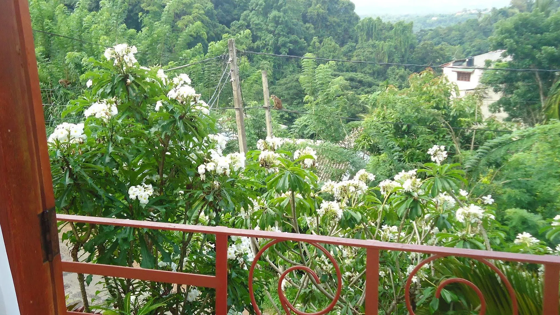 Nature Walk Resort Kandy