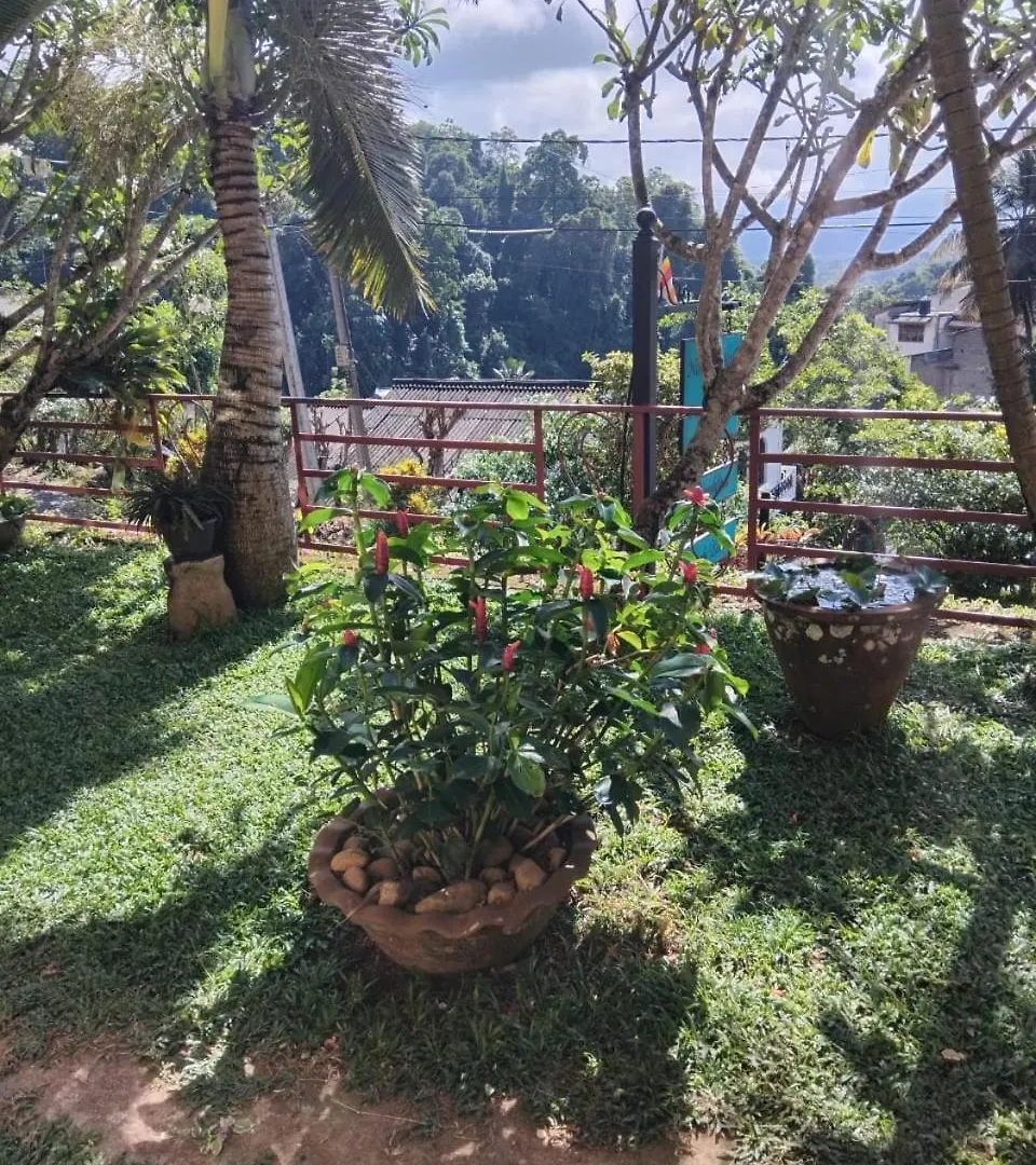 Nature Walk Resort Kandy