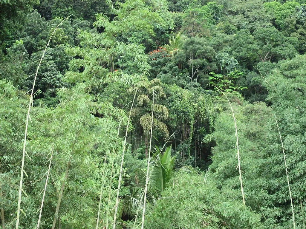 Nature Walk Resort Kandy